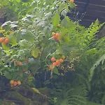 Apartment Du Mini Jardin