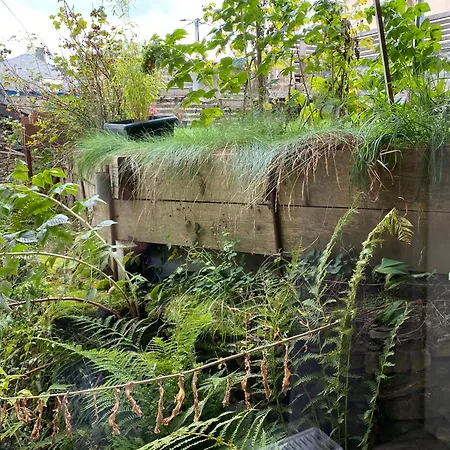 Du Mini Jardin