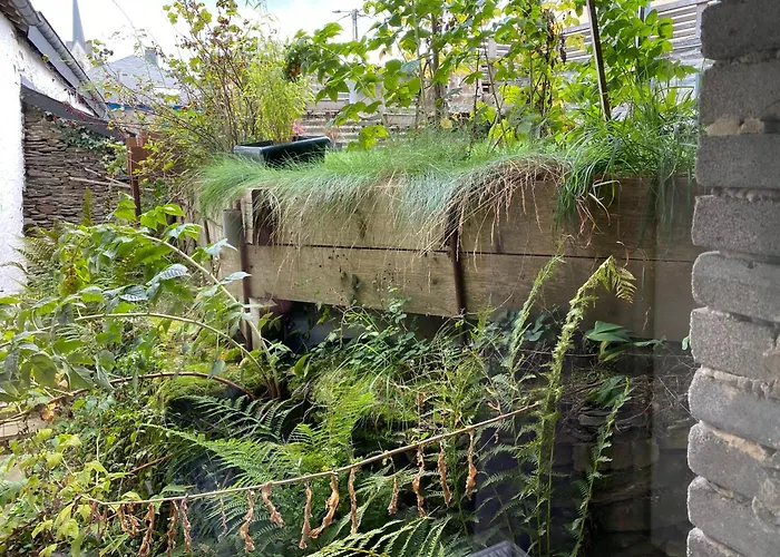 Du Mini Jardin